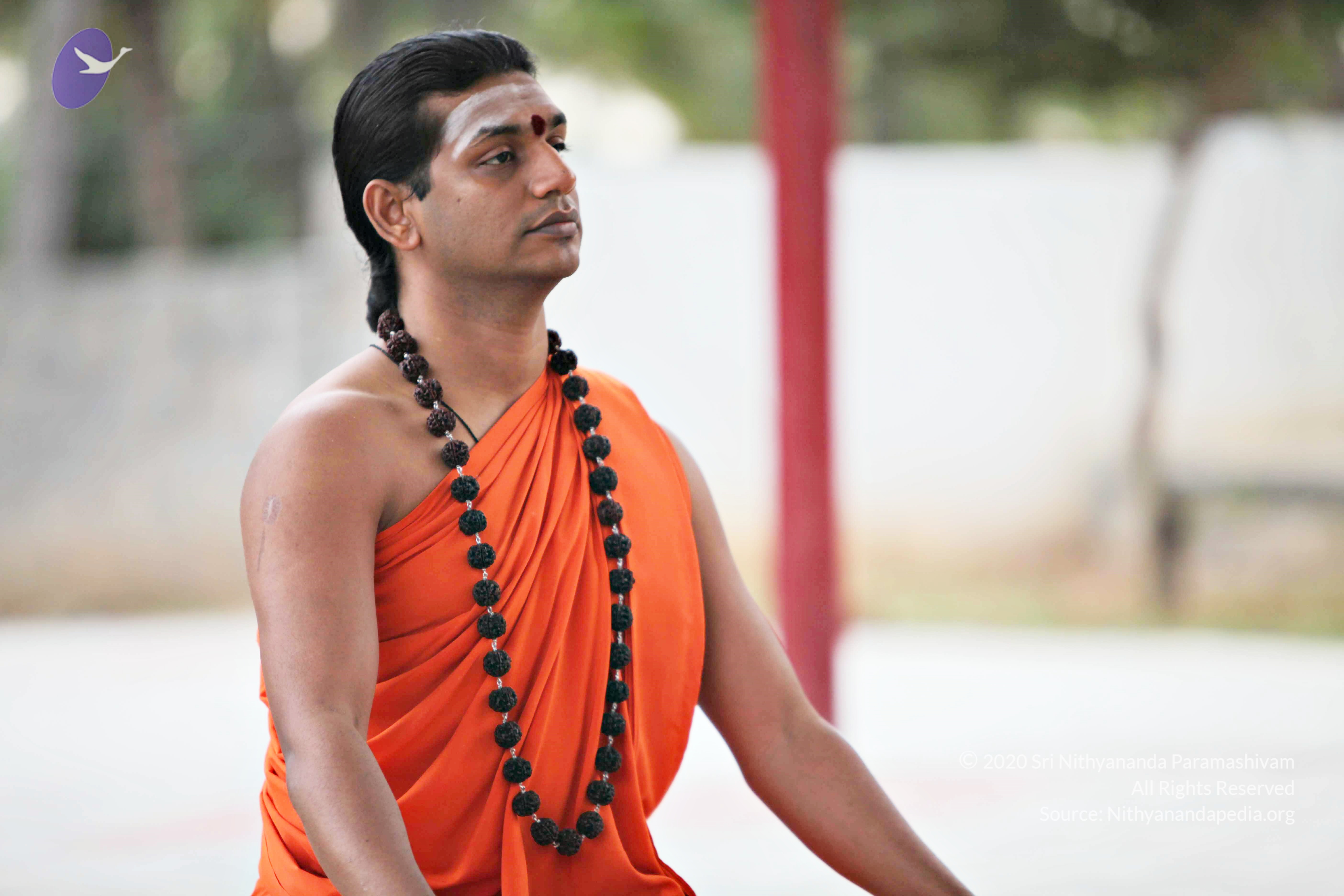 20110225_Photo_1059_IMG_0821_CMP_WM